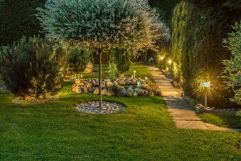 Landscape Lighting in Harmony, Rhode Island by MSF Landscapes Inc.