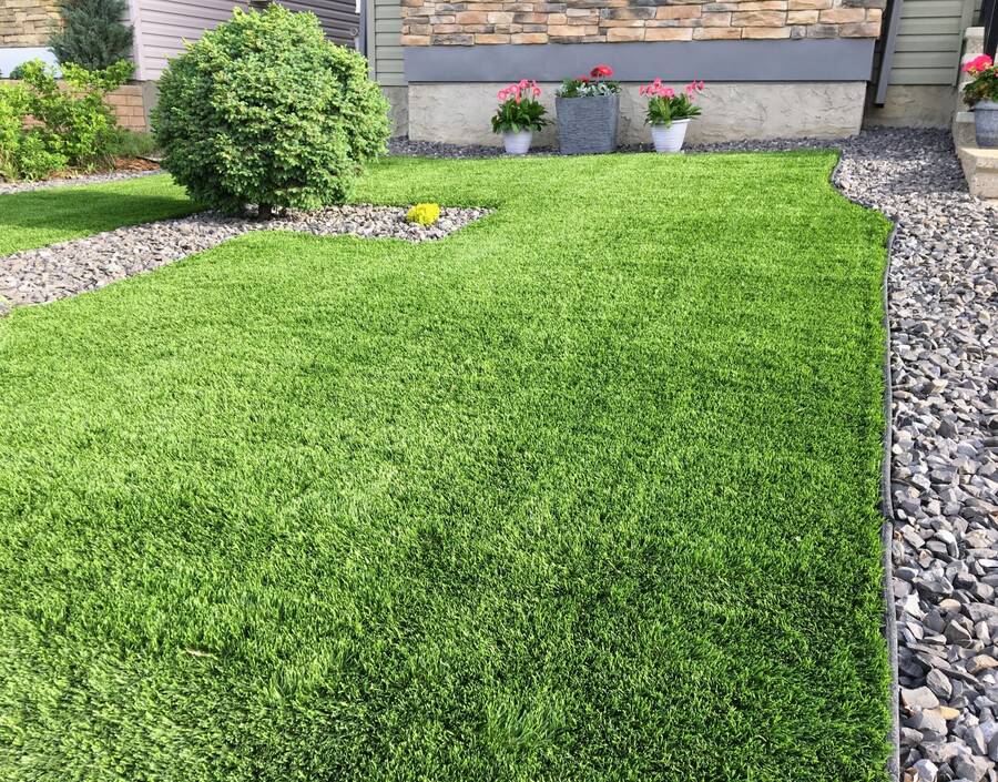 Synthetic Lawn