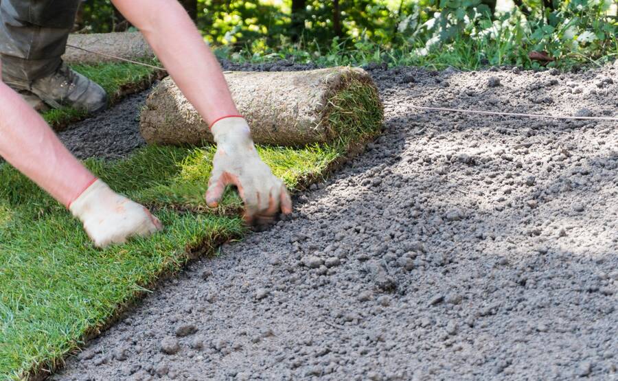 Sod Installation by MSF Landscapes Inc.