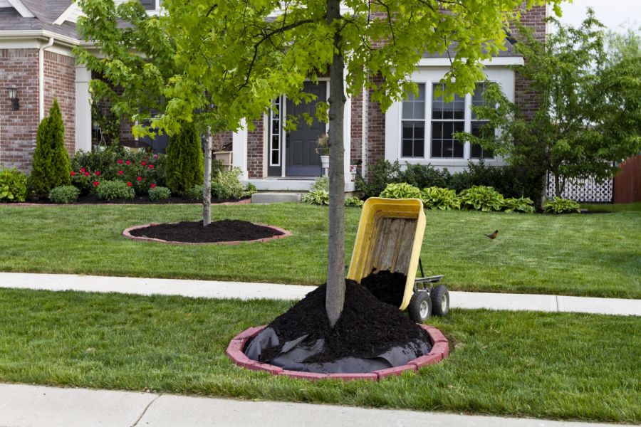 Mulch Delivery and Installation