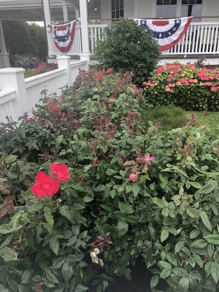 Landscaping Service in Westborough, MA (1)