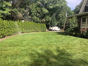 Lawn installation by MSF Landscapes Inc..