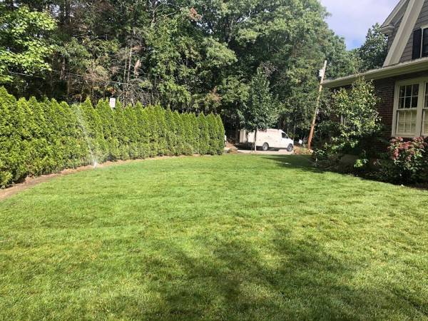 Landscaping Service in Worcester, MA (1)